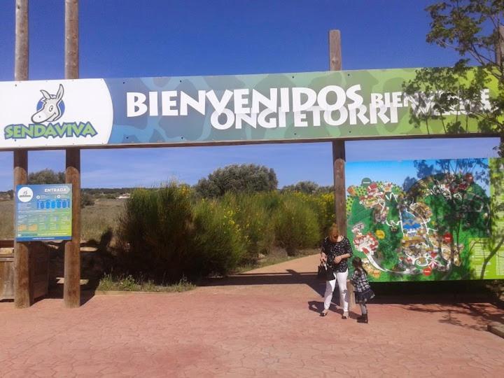 Atico Entero Con Habitacion En Corella Buitenkant foto
